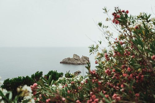 Botanisch uitzicht op zee op Grieks eiland Corfu | Reisfotografie fine art foto print | Griekenland,