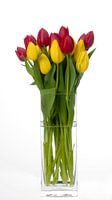 Tulpen in vaas, witte achtergrond,tulip,