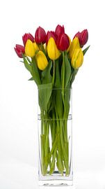 Tulpen in vaas, witte achtergrond,tulip, von M  van den Hoven