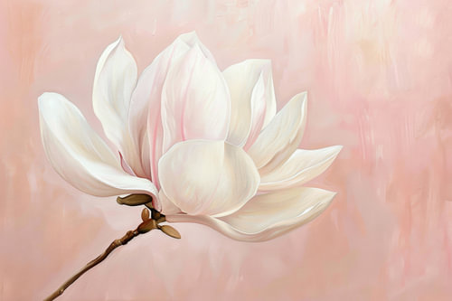 Delicate magnolia magie