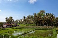 prachtig landschaps uitzicht op rijstterrassen en het huis van een boer van Tjeerd Kruse thumbnail