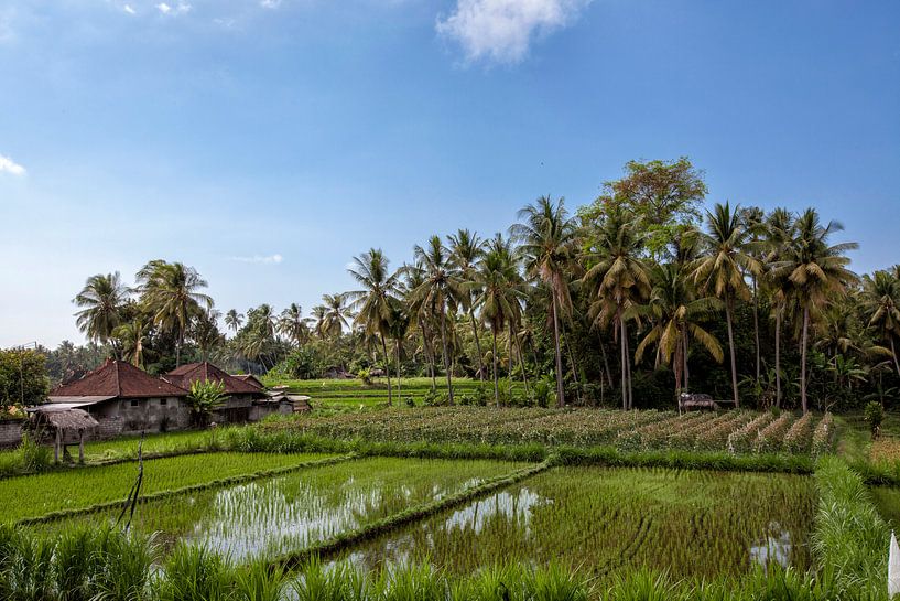 prachtig landschaps uitzicht op rijstterrassen en het huis van een boer van Tjeerd Kruse