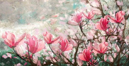 Bloemenveld Magnolia