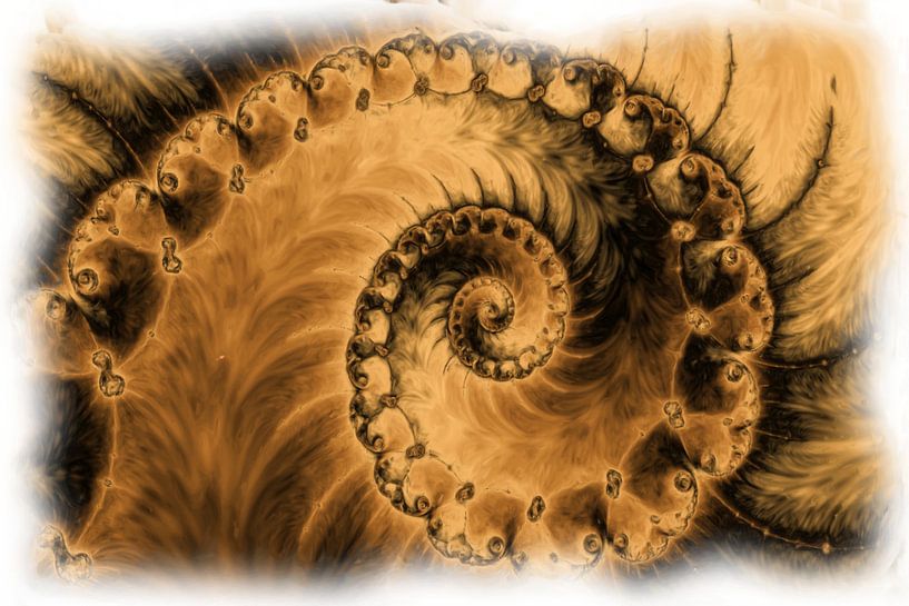 Mandelbrot fractal by Maurice Dawson