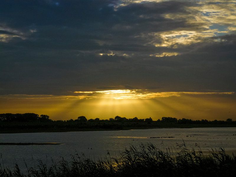 ochtendgloren by ton vogels