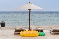 beach day by Robert Styppa thumbnail