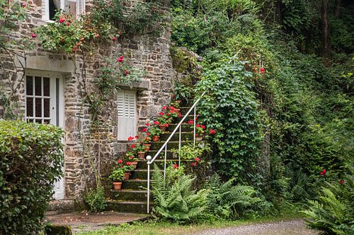 Maison normande avec végétation.