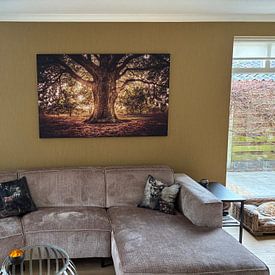 Customer photo: Tree of Life by Michiel Buijse, on ArtFrame