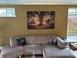 Tree of Life, Levensboom