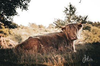 Verborgen schoonheid