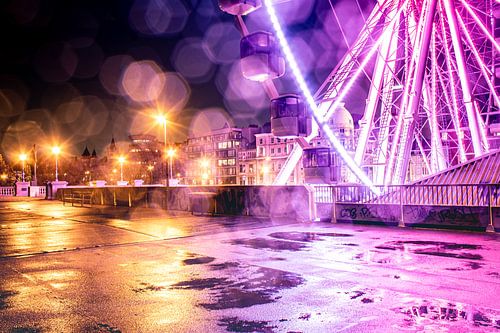 Quais de l'Escaut Anvers - Grande Roue de nuit