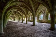 De gewelven van Fountains Abbey van Frans Nijland thumbnail