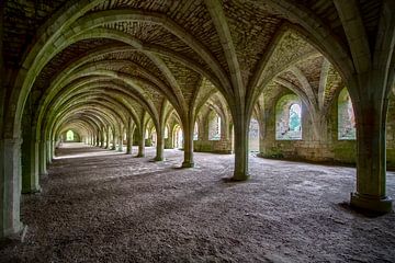 Vaults with history by Frans Nijland