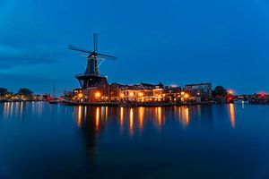 Haarlem en lumière bleue mark II