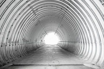 Tunnel van Patrick van Lion