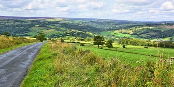 North York Moors van Gisela Scheffbuch