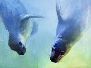 Schwimmende Robben von Mark Adlington