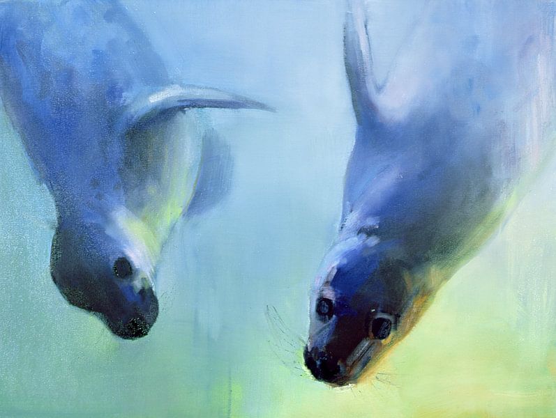 Les phoques flottants par Mark Adlington