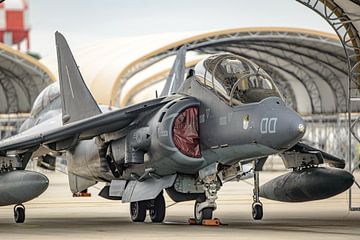 McDonnell Douglas TAV-8B Harrier.