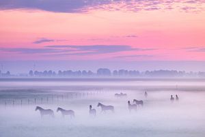 Paarden in ochtendmist van Esmeralda holman