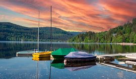 Titisee in de vroege ochtend in het Zwarte Woud