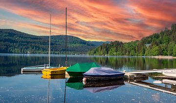 Titisee in de vroege ochtend in het Zwarte Woud van Animaflora PicsStock