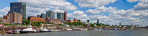 River Elbe at Hamburg