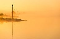 Morgenlicht auf dem Fluss IJssel - 3 von Damien Franscoise Miniaturansicht