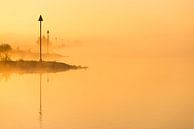 Ochtendlicht aan de IJssel - 3 van Damien Franscoise thumbnail