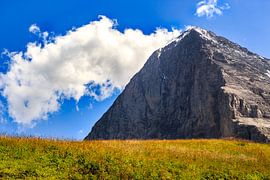 Eiger north face by Steven Van Aerschot