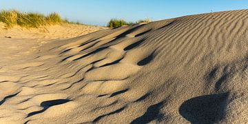 Dune de sable soufflé. sur René Weijers