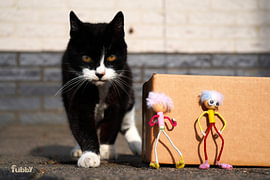 The Fubby's are hiding from Ping the cat. by Sailographic Paula