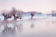 Schneelandschaft in Amelisweerd von Chris Heijmans Miniaturansicht