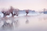 Sneeuwlandschap in Amelisweerd