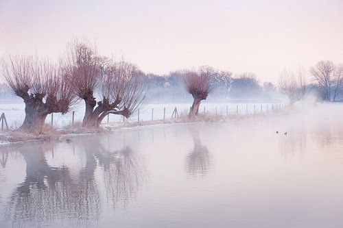 Snowy landscape in Amelisweerd by Chris Heijmans