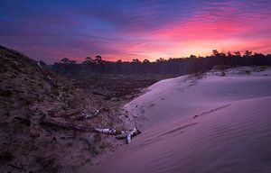 Zonsopkomst zandverstuiving Veluwe van Rick Kloekke