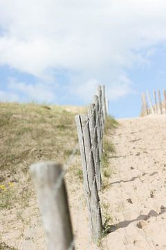 The beach - Strandpaaltjes in de duinen van Chantal Cornet