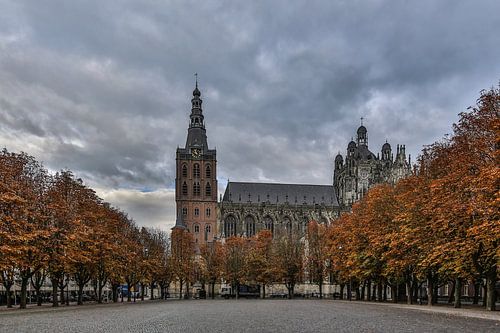 Sint-Janskathedraal en de Parade in 's-Hertogenbosch 