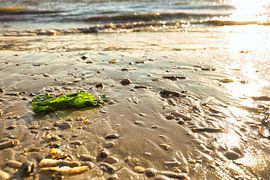 On the beach of Blåvand in the sunshine by the sea by Martin Köbsch