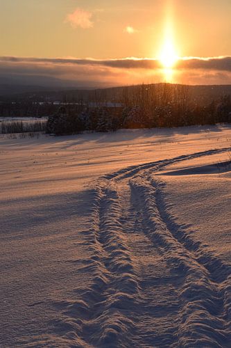Ein Sonnenaufgang an einem kalten Morgen im Februar
