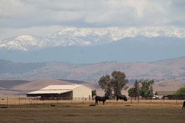 US-Landschaft von Paulien Hemelaar