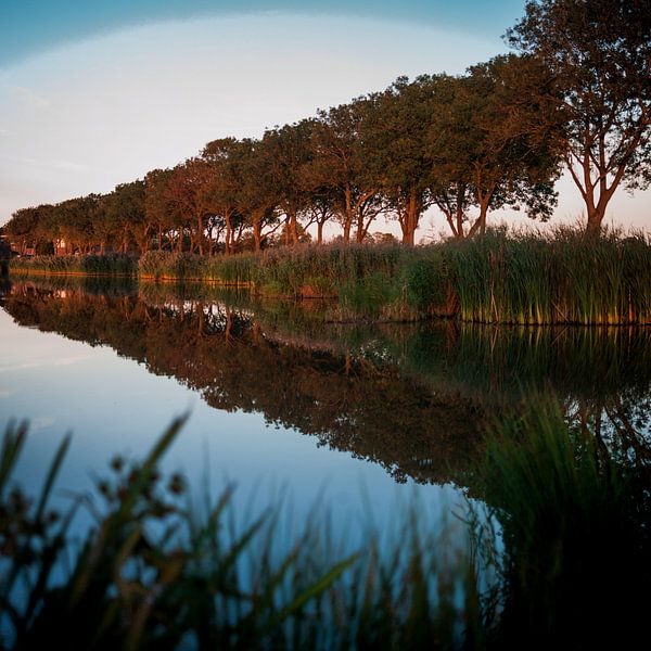 Herfstlicht in Friesland von Rene  den Engelsman