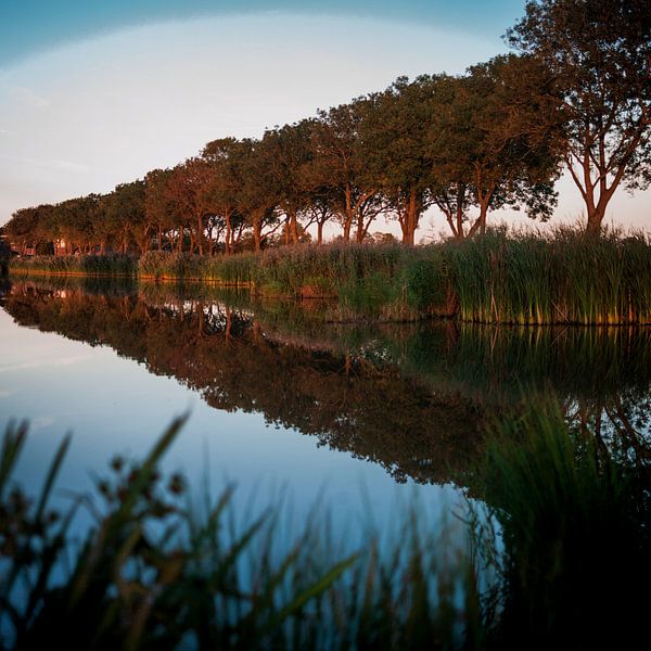 Herfstlicht in Friesland van Rene  den Engelsman