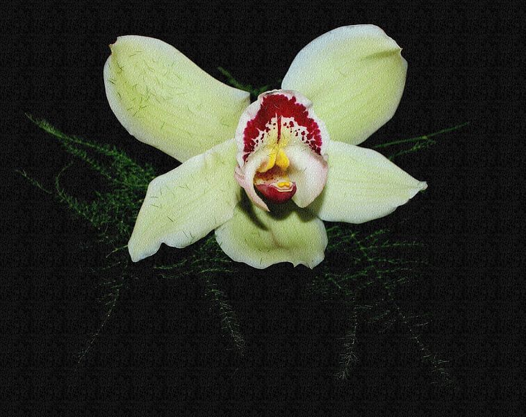 Orchid with floral relief by Jose Lok