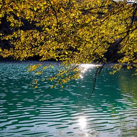 Plitvice meren, Kroatië, herfst, fotografie van Simone van Herwijnen