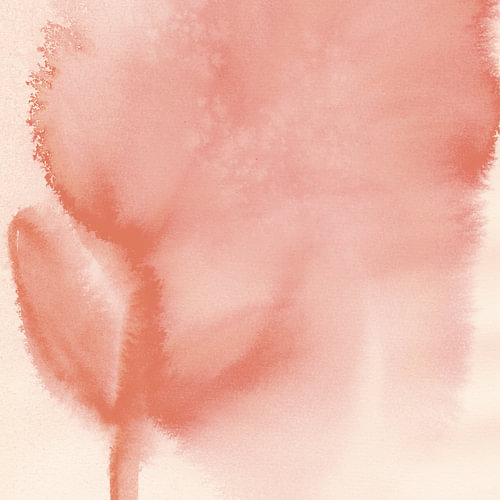 Coral red abstract watercolour flower