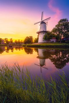 Mühle 'de Hoop' nach Sonnenuntergang von Thom Brouwer
