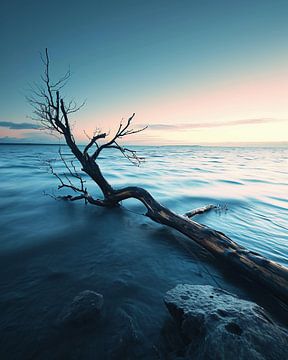 Wandeling op het strand van fernlichtsicht