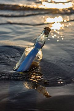 A Bottle Post... by Rob Donders Beeldende kunst