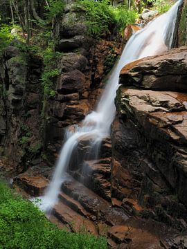 Waterval in het Franconia Notch State Park, New Hampshire, USA van Wilco Berga
